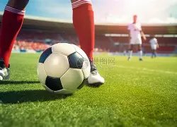 思明区篮球,男丙再夺三,大球冠军,体彩大发彩票网,体育彩票,大发彩票网,足球彩票,篮球彩票,快三官方网站