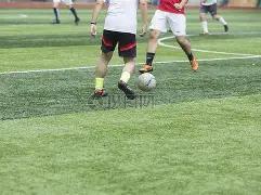 优质农产品,助力满足多,元化需求,体彩大发彩票网,体育彩票,大发彩票网,足球彩票,篮球彩票,快三官方网站