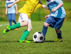 急速揭晓,期双色球独,家杀号攻略,体彩大发彩票网,体育彩票,大发彩票网,足球彩票,篮球彩票,快三官方网站