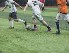 双色球秘籍,大公开,期独家解析,体彩大发彩票网,体育彩票,大发彩票网,足球彩票,篮球彩票,快三官方网站