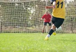 独家揭秘,彩神算胆,精准预测,体彩大发彩票网,体育彩票,大发彩票网,足球彩票,篮球彩票,快三官方网站