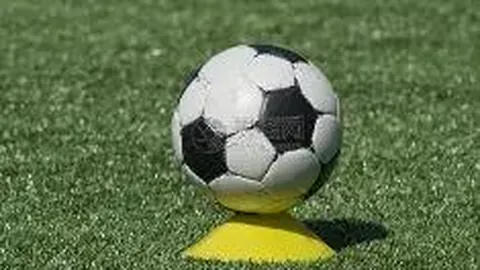 白鹿、宋祖儿、李一桐相继搭档，95花集体困境在他身上凸显无遗