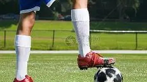 凤县第22届中小学生田径运动会盛大启幕