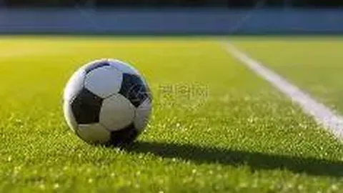 【彩运亨通】第141期双色球独家预测：龙头号码揭晓，02、07闪耀登场！