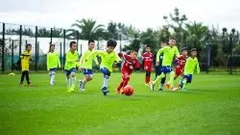 【揭秘彩市】第020期3D彩票热门号码预测：精准锁定0268、0479、1259，今日必看！