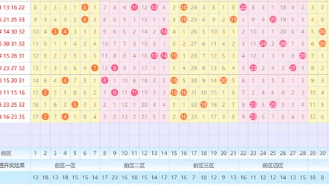 【独家揭秘】彩票3D 2026026精准缩水杀号，实力定胆组选，稳中求胜！