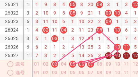 26083期大乐透专家推荐：质合分析前区十码组合